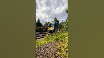 TransPennine Express Class 185 flying along the tracks #trainspotting #railway #train #shortsfeed