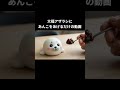 大福アザラシのいる暮らし #shorts