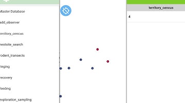 Display QField Relation-Reference Widget