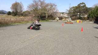 20160326 長井鶴 fujisajr3 vtr250