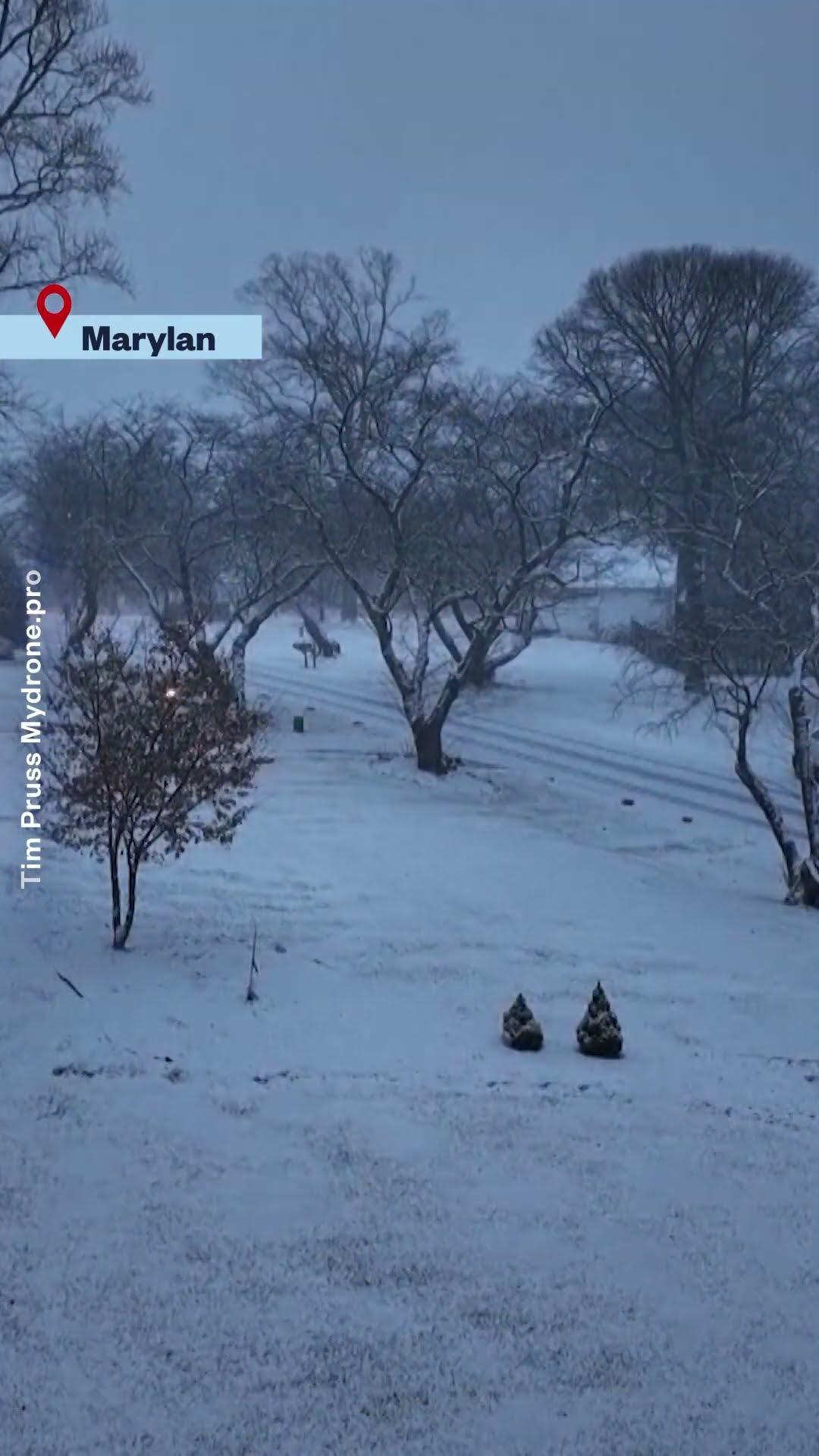 Así se ve la tormenta invernal en diferentes estados de EE.UU. | Noticias Telemundo