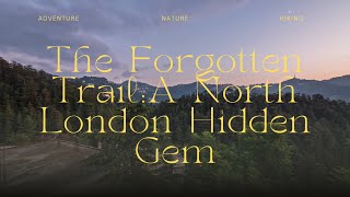 Barnet Gate Wood & Moat Mount | A North London Hidden Gem