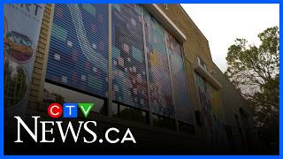 Downtown Lethbridge art project transforms storefronts