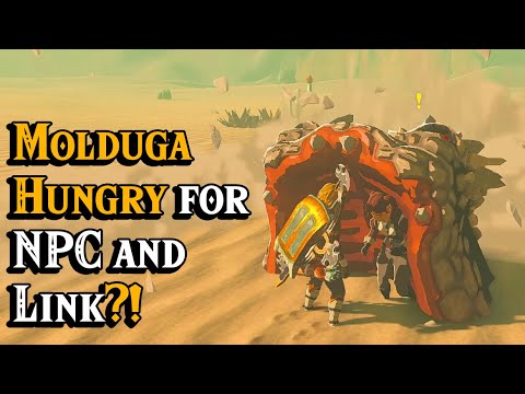 Molduga Hungry for NPC & Link in Zelda Tears of the Kingdom