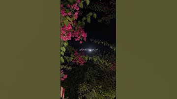سورة المائده:74-75.                                  اجر لي ولكم🤍