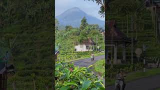 Download Lagu Wih.. keren iki tumpakane   Pagilaran - Blado - Batang - Jateng#reels #reelsinstagram #shorts #viral MP3