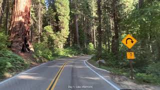 August, 2019: Driving the Generals Highway in Sequoia National Park
