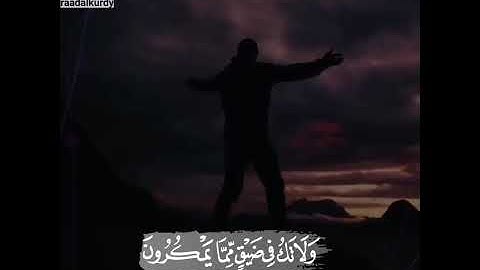 رعد محمد الكردي (سورة النحل)