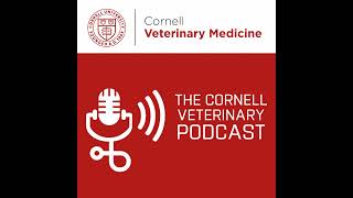 Artificial Intelligence in Veterinary Medicine: A Brave New World
