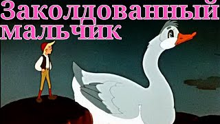 ЗАКОЛДОВАННЫЙ МАЛЬЧИК (1955) | Советские Мультфильмы