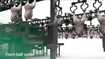 Meyn® Physic M3 0 cut up with dark meat deboning