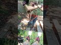 Sawing timber is an hobby where I find lots of friends. Enjoying life at its best. #fun #sawing