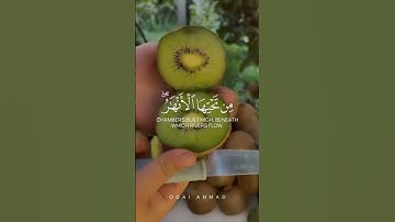 تلاوة عطرة بصوت مريح جدا #القرانالكريم #تلاوة_خاشعة #القرآن_الكريم #تلاوات #راحة_نفسية #ارحقلبك