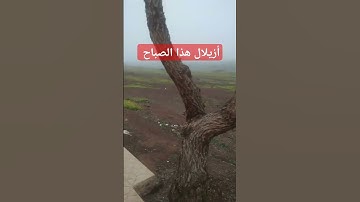 ماتيسر من سورة الرحمن #اكسبلور #المصحف الكريم