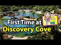 Discovery Cove SeaWorld | What is Discovery Cove Like? First Time | Celebrating Our Anniversary