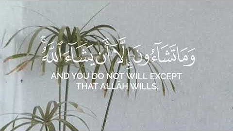 إن هؤلاء يحبون العاجلة | القارئ الشيخ ياسر الدوسري