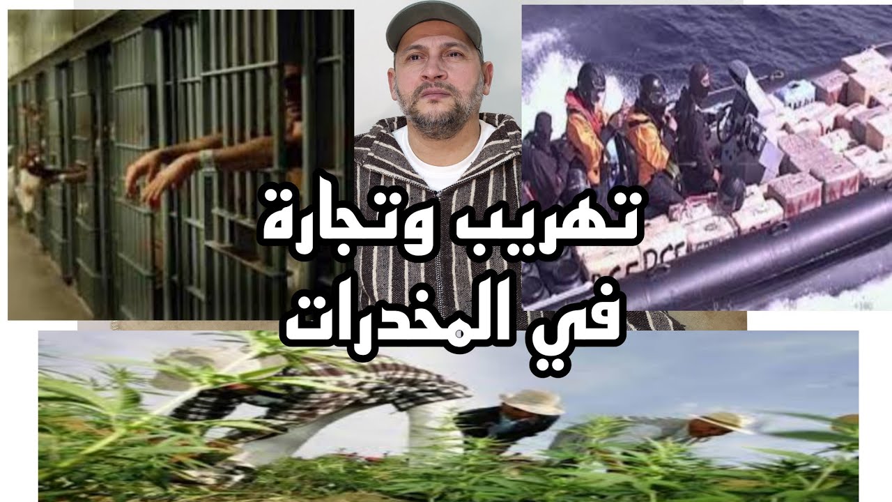 قصة أولاد بوهاشم أخطر عصابة في عالم السفلي بين الإجرام و المخدرات