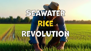 Seawater Rice Revolution