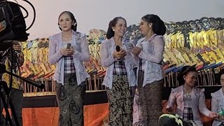 Penampilan Mempesona Sinden Sinden Cantik dengan Pak Kades Gaul di Pagelaran Wayang Kulit