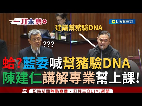 【一刀未剪】這技術誰跟得上台灣？瘦肉精事件丁學忠給建議喊"幫豬驗DNA" 陳揆笑了還耐心解釋... 藍委當場傻眼"狂點頭無法反駁"超尷尬畫面曝光│【焦點人物大現場】20240227│三立新聞台