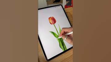 Procreate Watercolor Tutorial #procreatetutorials #procreate #procreatebrushes