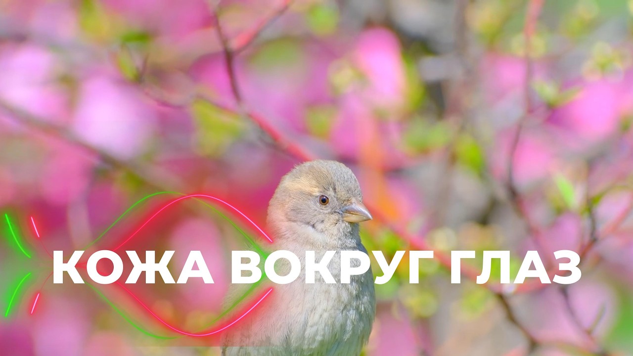 Омоложение кожи вокруг глаз. Избавление от отёков, мешков, пятен, мимических морщин. Саблиминал.