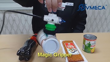 VMECA Magic Gripper with S-lip (flexible sponge) handles several irregular surface objects