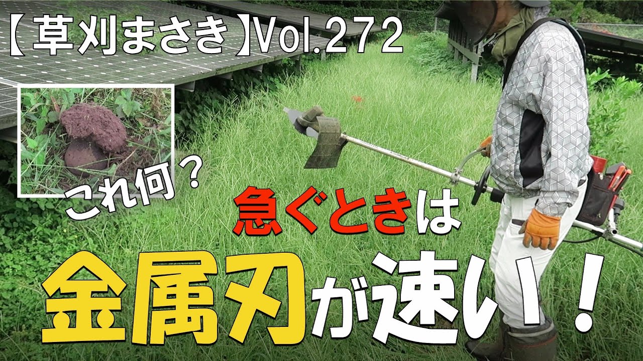 草刈り】急ぐ時は金属刃が速い!そして見つけた変なもの・・ - YouTube 草刈り】急ぐ時は金属刃が速い!そして見つけた変なもの・・ - YouTube