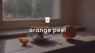 orange peel (lyrics) · music tumblr screenshot 3