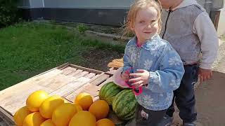 ЗАШЛИ В КИТАЙ БАЗАР/КУПИЛИ🍉ДЫНЮ ПРОБУЕМ.