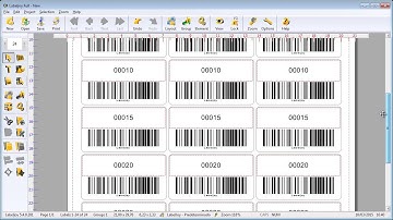How to use incremental counter to print labels and to generate barcodes