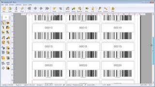How to use incremental counter to print labels and to generate barcodes