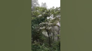 #سورة_الإخلاص #egzonibrahimi #القرآن_الكريم  #ikhlas