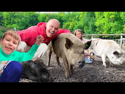 День С Маленькими Свинками На Ферме