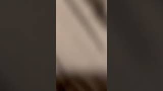 Nikki Knightly Fanart