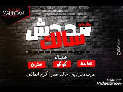 مهرجان محدش سالك غناء تفاحة كوكو مشرف عزف و توزيع خالد عفر كرم العالمي