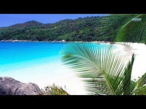 camera iphone 8 plus apk Bermuda 4K Drone Sky Full of Stars