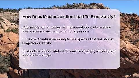 How Does Macroevolution Lead To Biodiversity? - Ecosystem Essentials