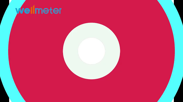 Pre-equipped R200/R160/Class C Nylon Plastic Water Meter--Professional Supplier Wellmeter