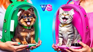 видео: Собака vs кошка! Как ухаживать за домашними питомцами картинка: Собака vs кошка! Как ухаживать за домашними питомцами