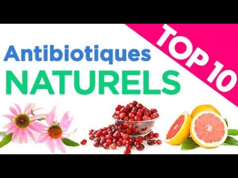 Vidéo: Antibiotiques Naturels