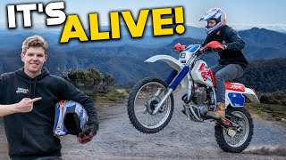 Download Lagu First Ride in 10 YEARS! Restoring My 1995 Honda XR250R MP3 Download Lagu First Ride in 10 YEARS! Restoring My 1995 Honda XR250R MP3