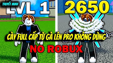 Tôi Cày Từ Lever 1 Lên Max Không Dùng Robux Trong Blox Fruits