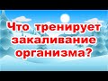 Какие мышцы тренируются закаливанием?