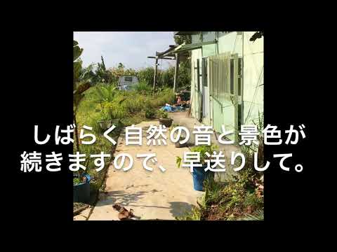 iphone のみで撮影、編集　沖縄の最強霊場の一つ、SSSに1人で行ってきました（昼に！）①