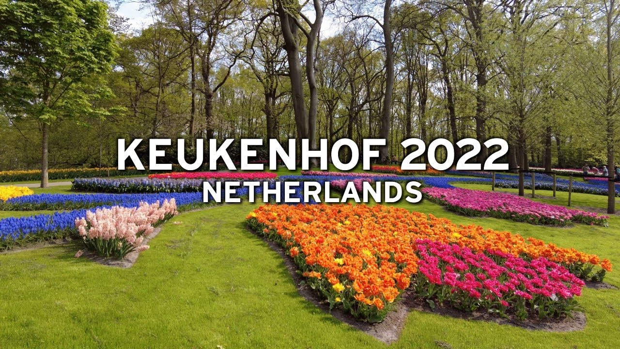 🇳🇱 Keukenhof 2022 - Walking in tulip paradise   [4K]