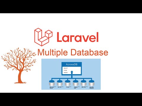 How To Use Laravel Multiple Database Connections