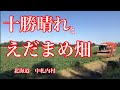 北海道十勝の中札内村では、冷凍枝豆の国内生産はかなりな上位なはず。1位?!だっけ。