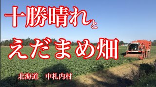 北海道十勝の中札内村では、冷凍枝豆の国内生産はかなりな上位なはず。1位?!だっけ。