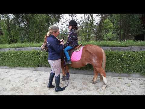 Horse Rider Position- The Body | Teaching Kids Series